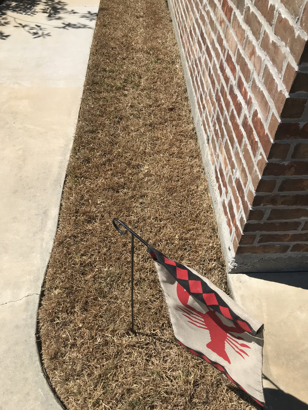 3BB9A935-2EB1-4D65-86DC-2649CFA2D854