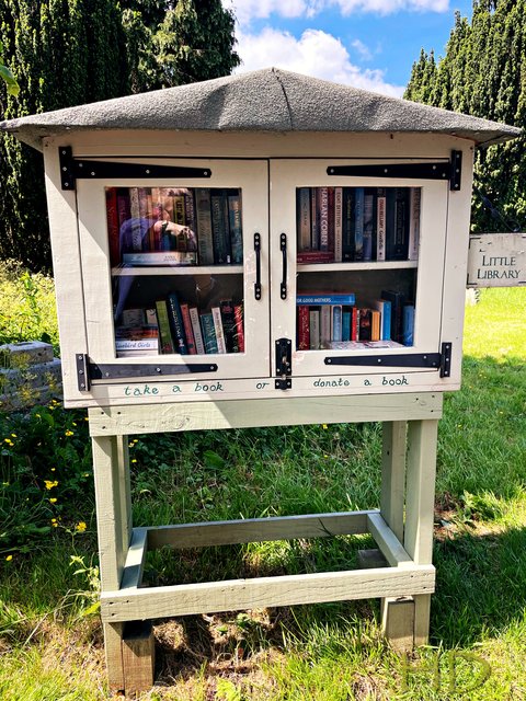 little-library-HD.jpg