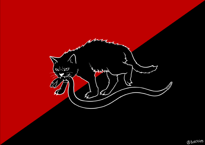 black-cat.png