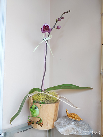 [Image: IMG-20200726-095550.jpg]