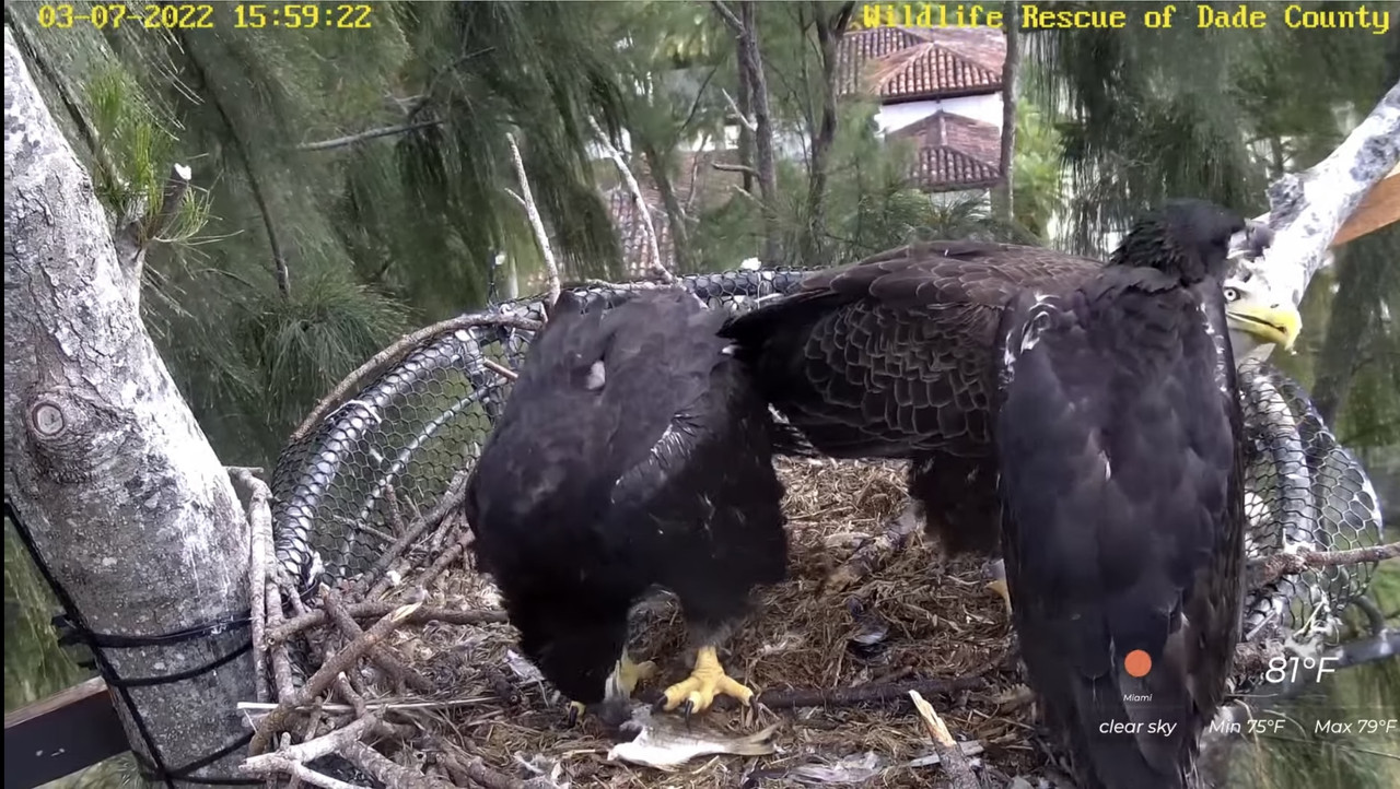 5657EEAC-8E80-4CFE-A157-86FACA408609