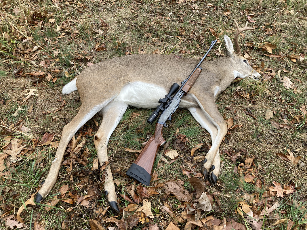 12AC4509-EB93-4059-939A-80F7F750E7C6