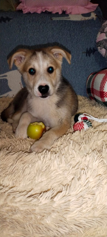 Изображение WhatsApp 2025-01-13 в 13.46.34_c74969fe