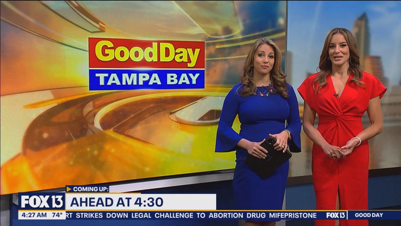 FOX13s Good Day Tampa Bay at 400am_20240614_09000930.ts_snapshot_28.15.249