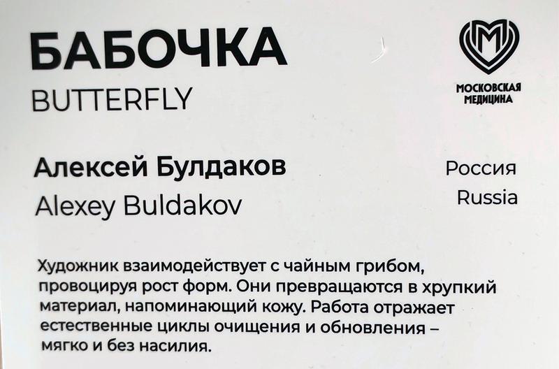 https://i.postimg.cc/5ydN38p3/049-IMG-20260502-131102.jpg