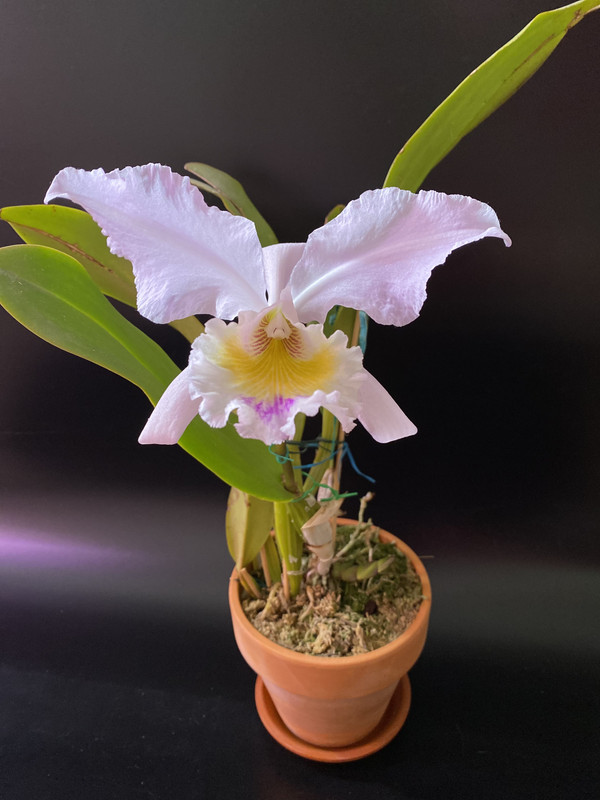 07E45EE7-D04F-4FB6-8D93-DB08BF56852D