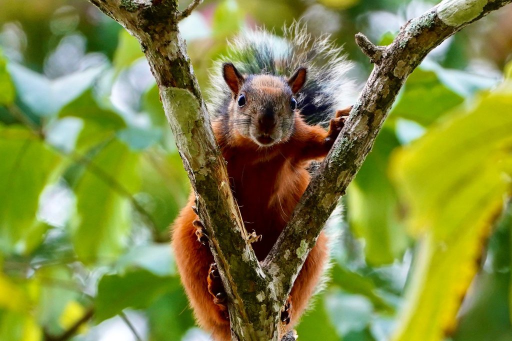 3D8E7246-01EA-431D-AE85-CCDE60E3E720