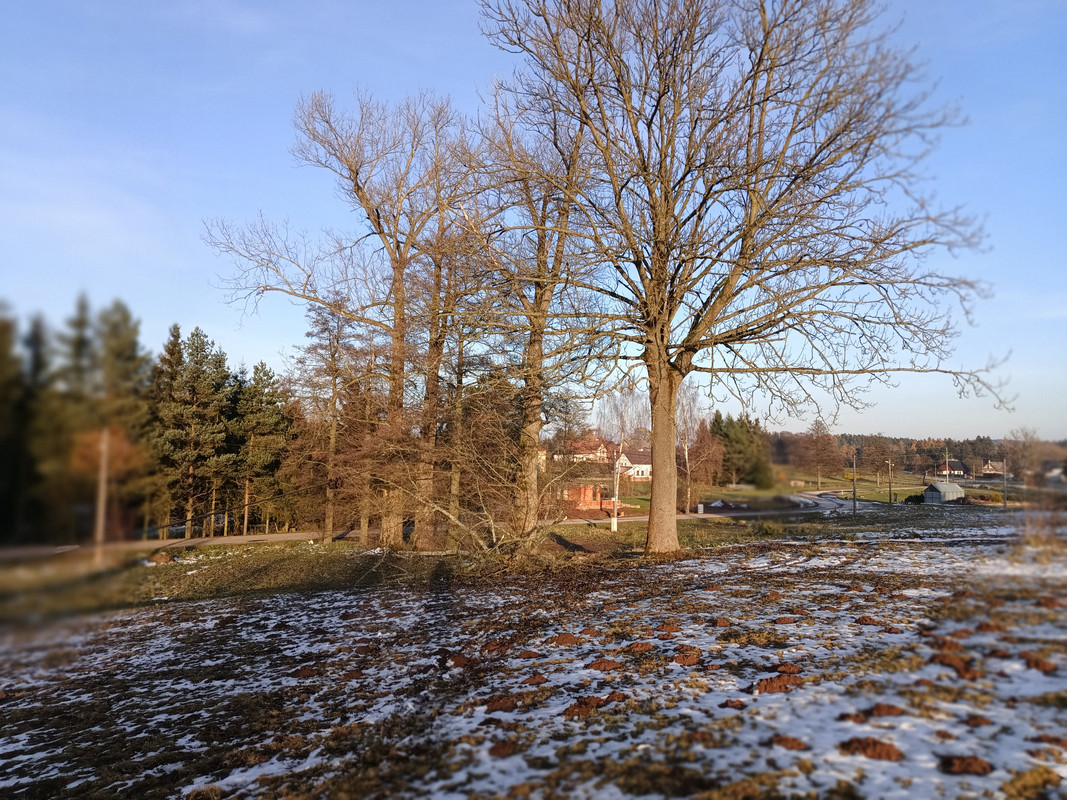 IMG_20241125_144429086_PORTRAIT