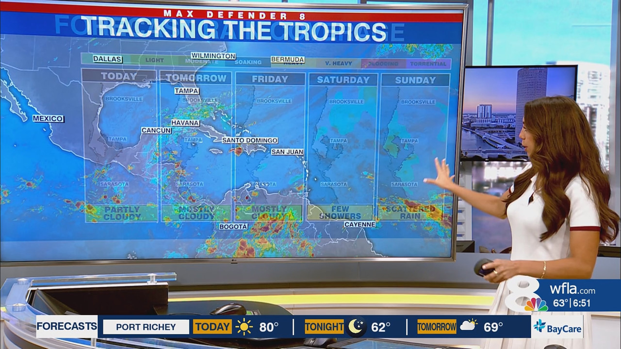 News Channel 8 Today at 6a 20251105 11001200 ts snapshot 00 53 08 056