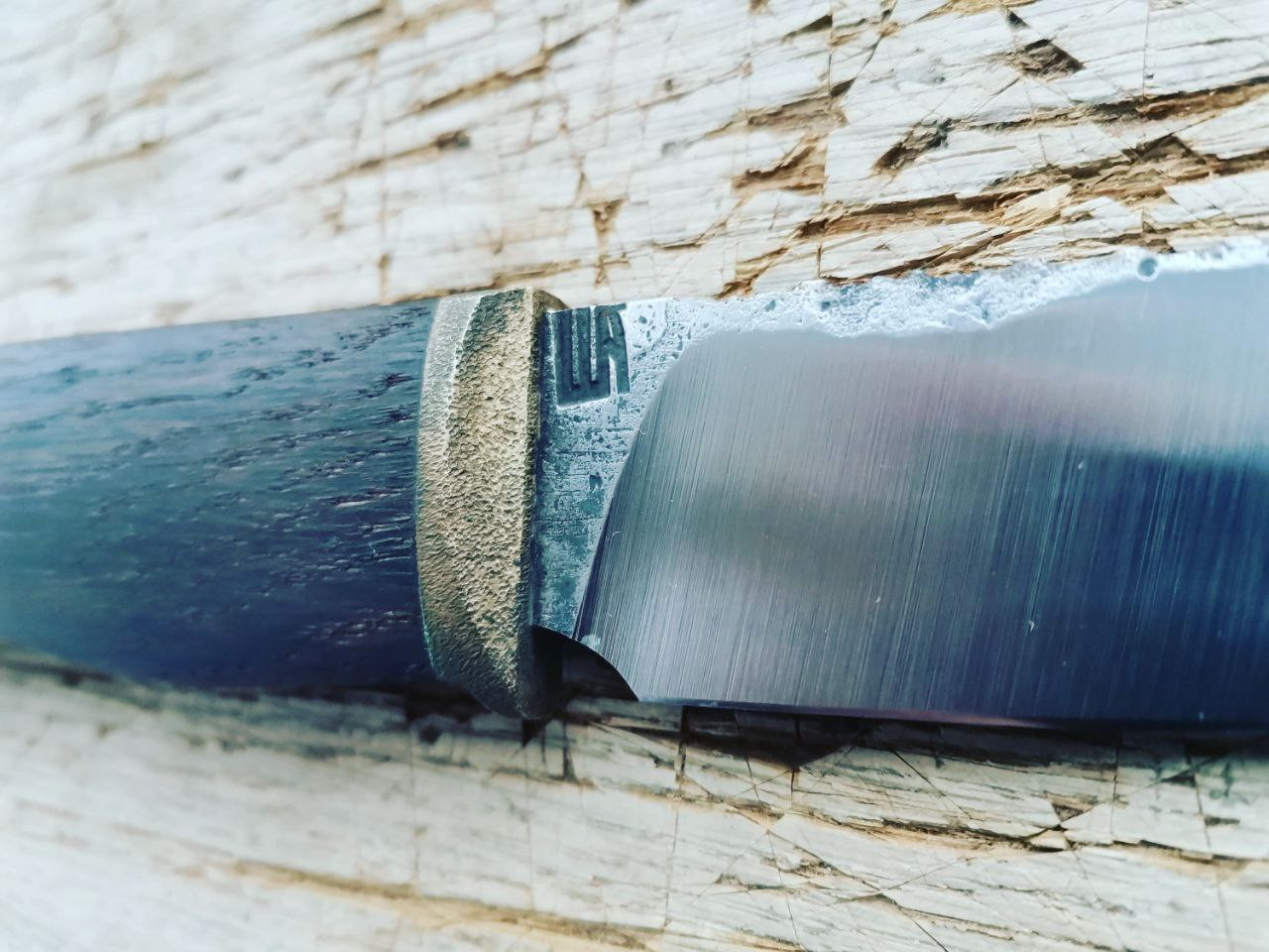 photo 2 2025 11 10 08 52 05