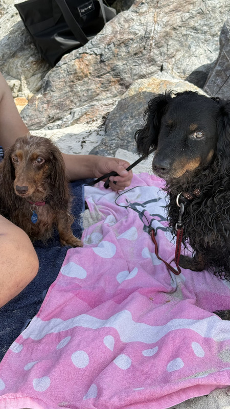 [Image: IMG-3585.jpg]