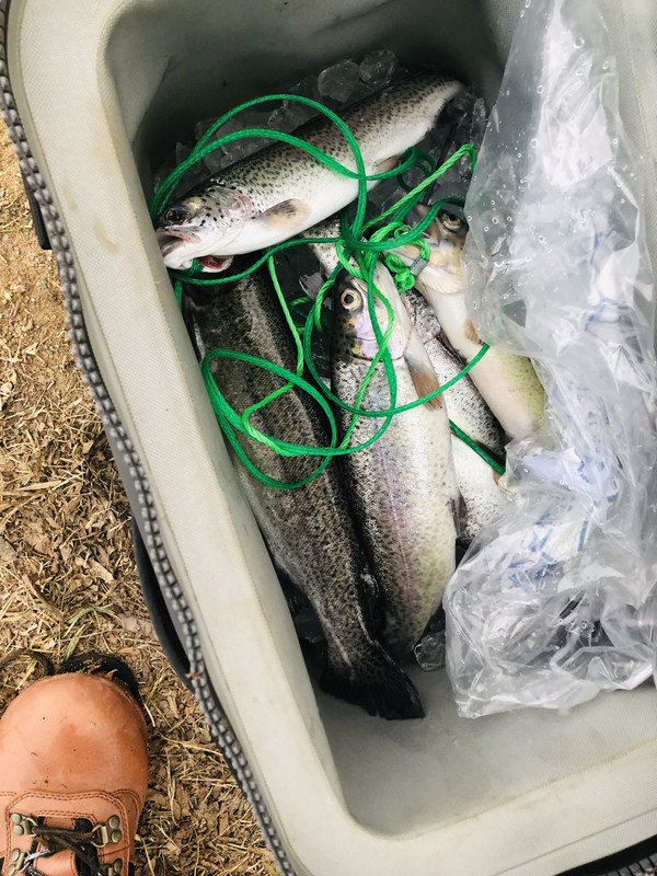 011DAD33-05AE-48C0-BF71-6F6A2017BF0E