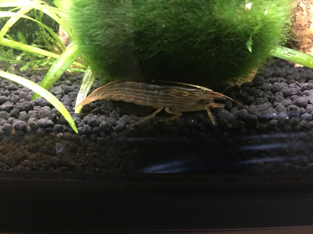 1FE5092F-3111-4793-8862-8639919CA261