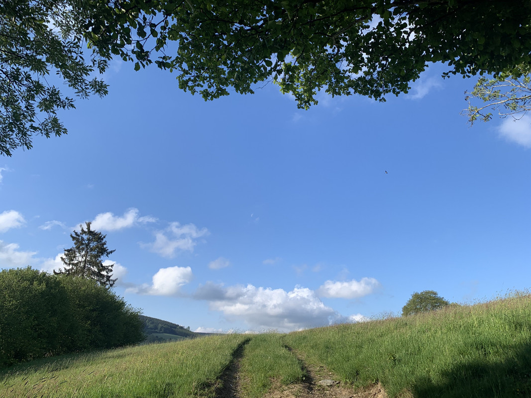 2AAFCFF0-47F7-4CE7-A4E0-CCD1B5E93605