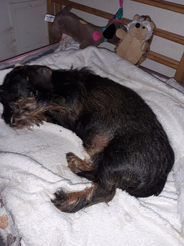 [Image: 20231204-065237.jpg]