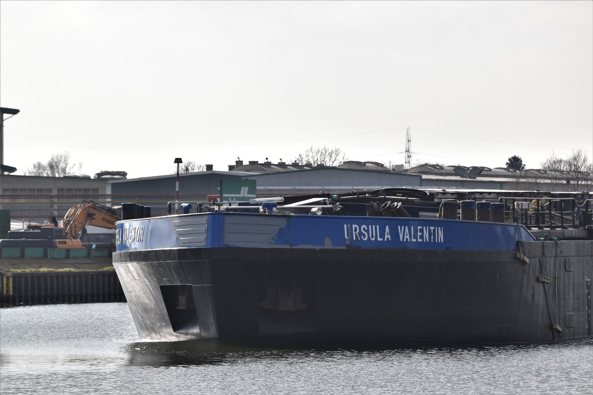 2021.02.27a1 Urs. Valentin