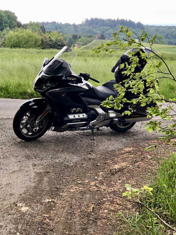 9E1ECD8D-3D9F-4923-B683-559889FB9919_1_201_a