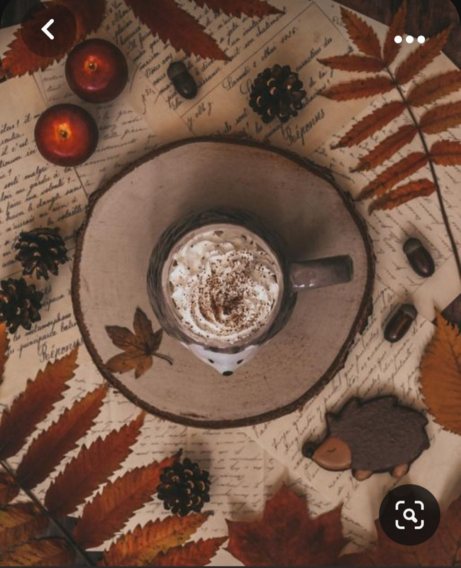 Screenshot_20231008_222806_Pinterest