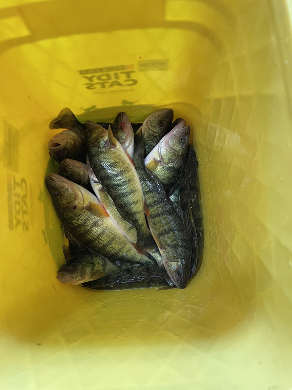 7F78045A-7820-412E-AFFB-C808278E7E1B