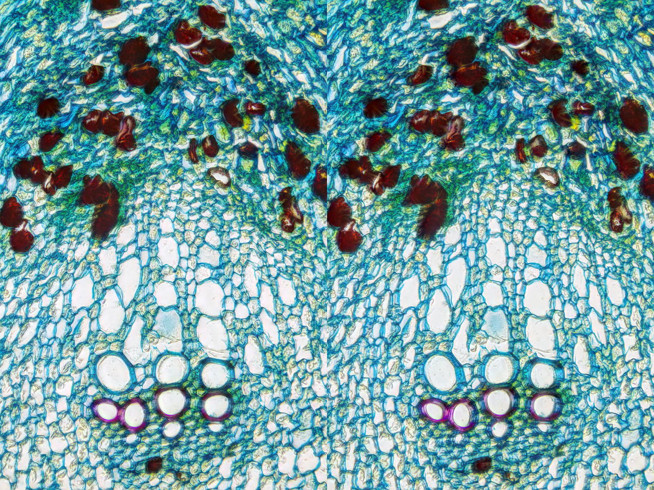 Stereo 3 5 Cross TPnd 4K