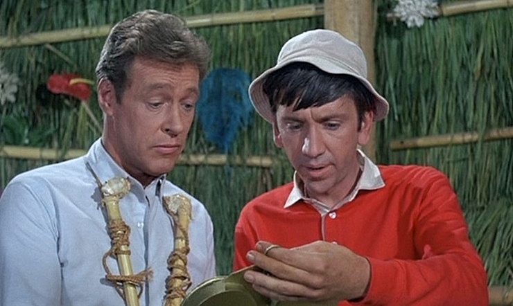 GILLIGANS-ISLAND-PROFESSOR-4-A-FOTOR.jpg