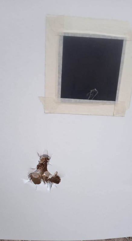 WhatsApp Image 2022-12-01 at 9.10.14 AM