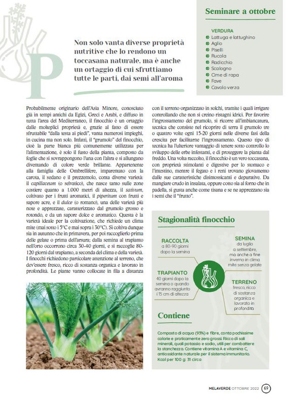 melaverde Ott 2022 (8)