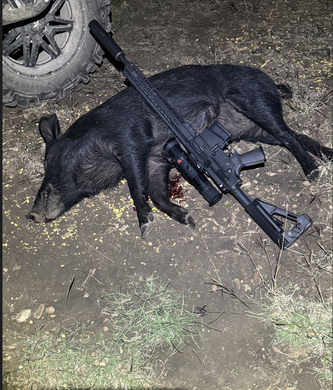 Screen Shot 2025-03-21 at 1.19.57 AM