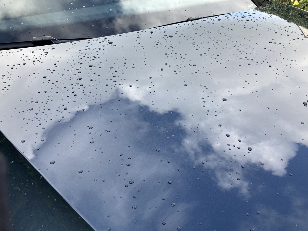 588C98B1-93F2-424C-A5FA-FFF52357F0A9