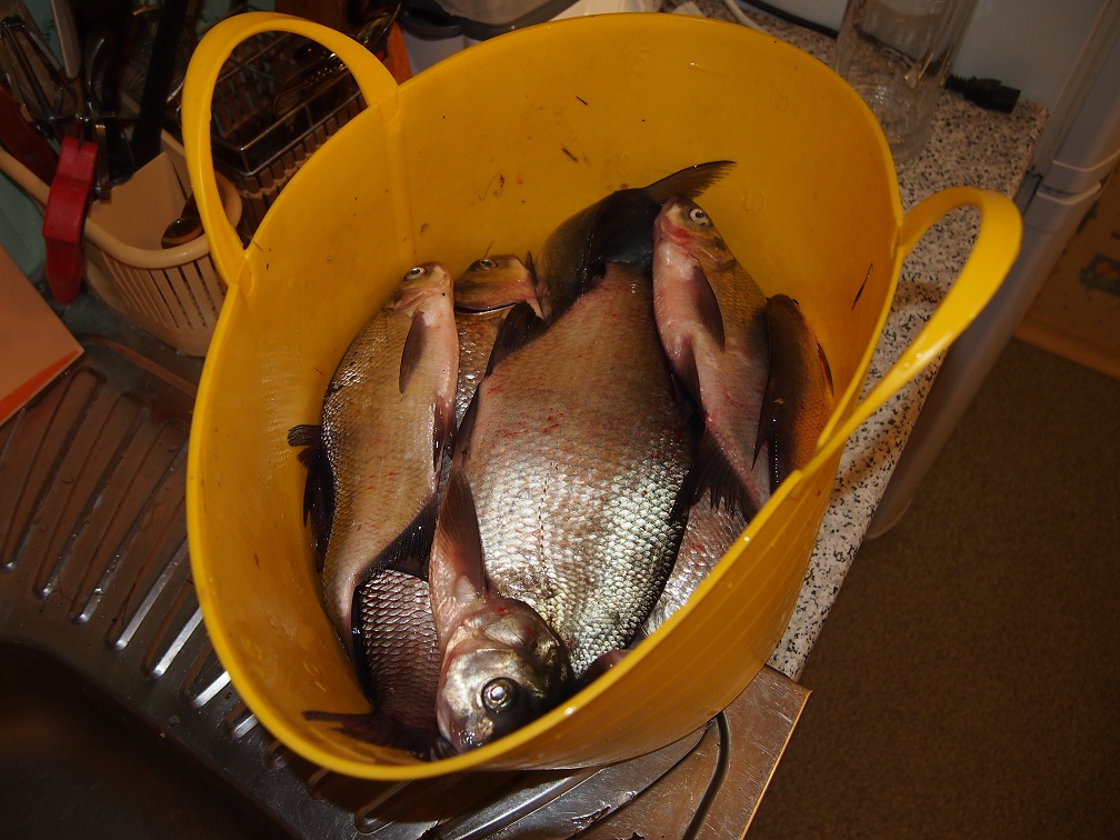 Весь улов 6,380 кг