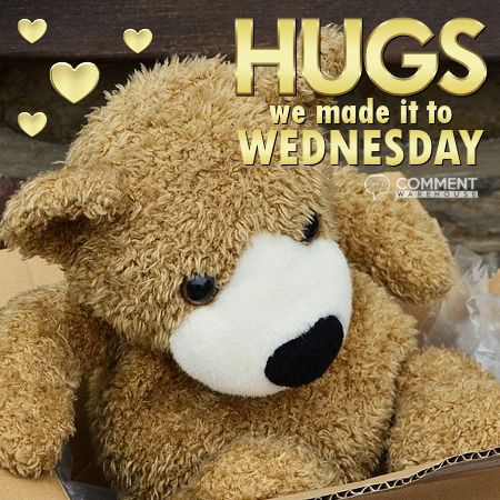 WEDNESDAY-BEAR