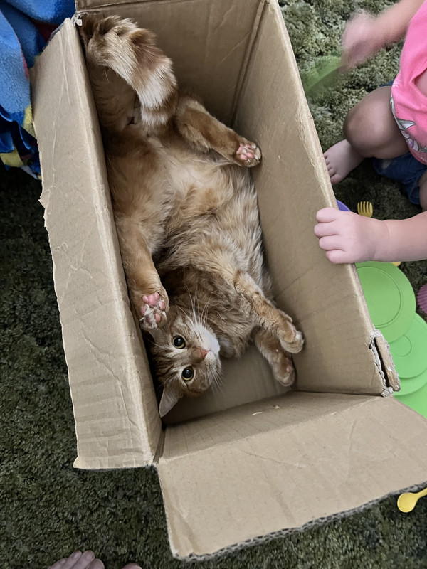 711D222E-E188-4223-B56E-55108FF6FB6C