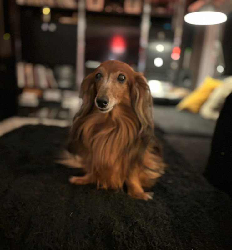 [Image: IMG-20241218-WA0000.jpg]