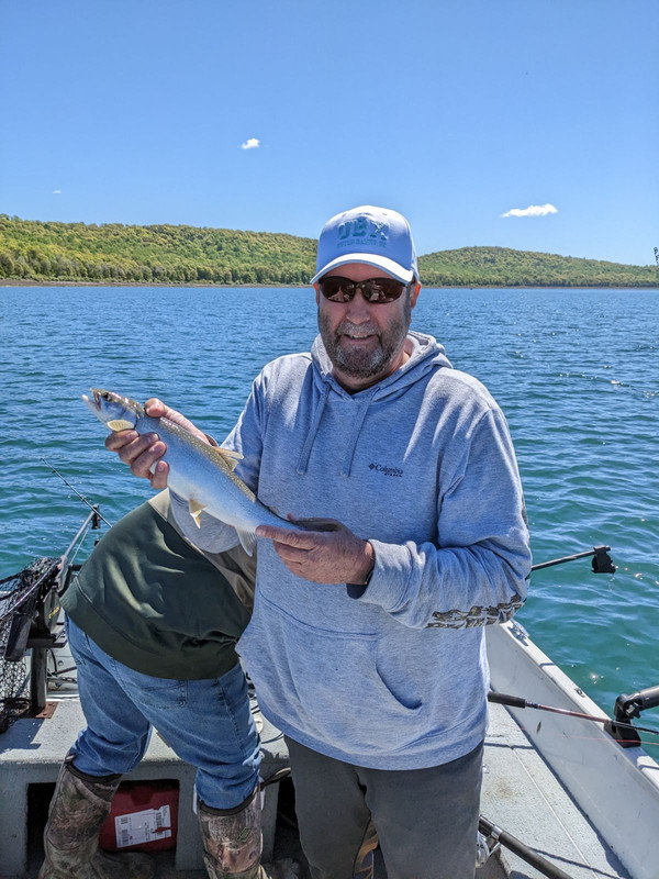 6C0585CC-40CF-4EE2-8B37-FDA136E4963A