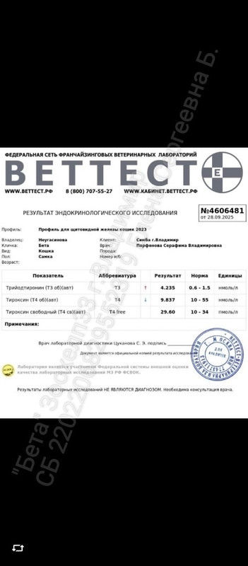 Результаты анализов 28.09.2025