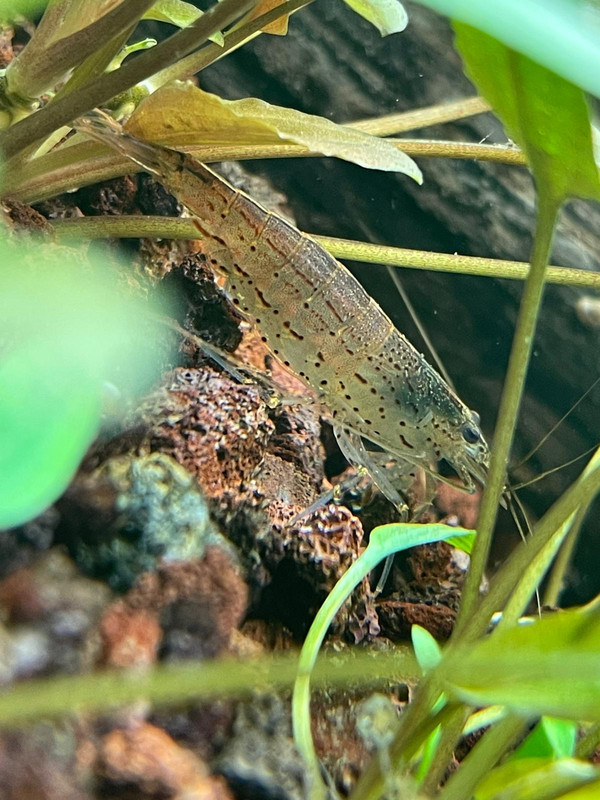 D827F810-ADA8-45B1-9ED2-5ED5E4D02929