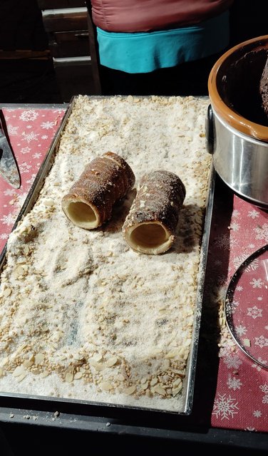 La pinacoteca del Castillo, la Galería Nacional y más Mercados de Navidad - Viena - Bratislava - Praga, Navidad 2024 (144)