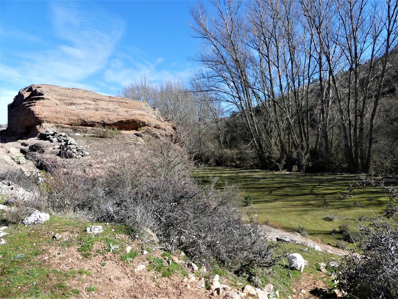 YACIMIENTO ARQUEOLOGICO DE TIERMES-16-2-2020 - Soria y sus pueblos-2010/2013/2020 (113)