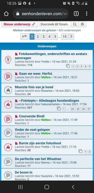 Afbeelding