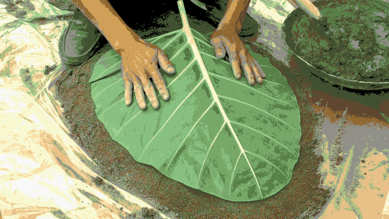 LEAF-ON-SAND-16-COLOR.png