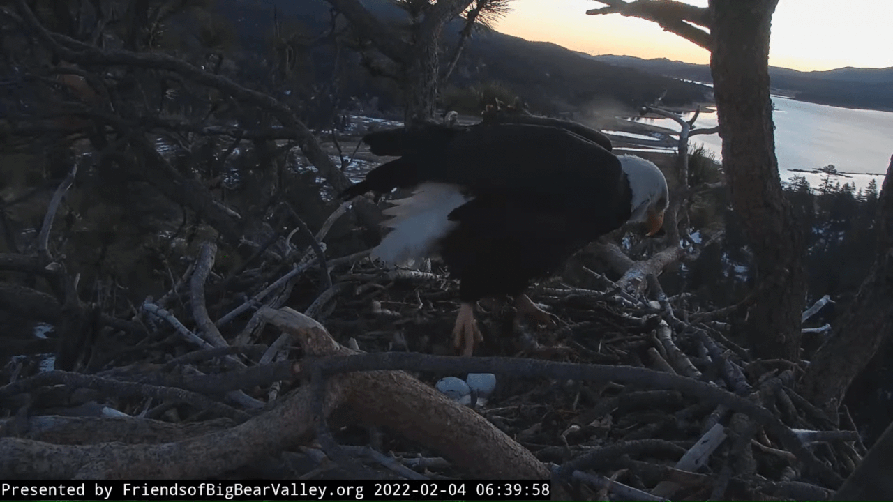 Webp.net-gifmaker (1)