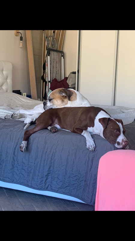 213D19E7-01E1-488C-AACD-8B4B6FDAF468