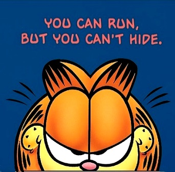 Garfield-You-Can-t-Hide