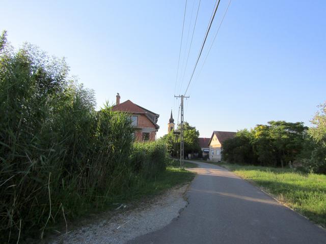 Kép