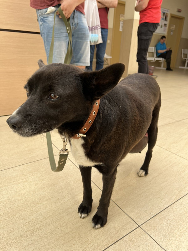 77E3FBC8-2048-49CB-BEEA-540329CE7B3A