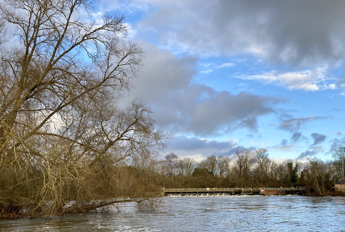 31B5963E-0FF7-4BA8-8570-FDCFAFAE298A