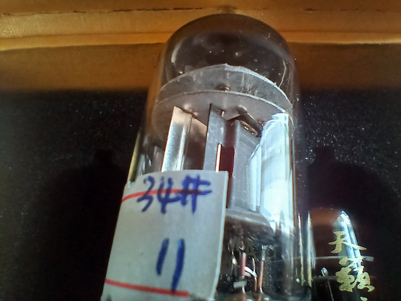 [Bild: 20260605-143529.jpg]