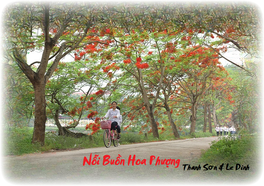 [Image: Noi-Buon-Hoa-Phuong.png]