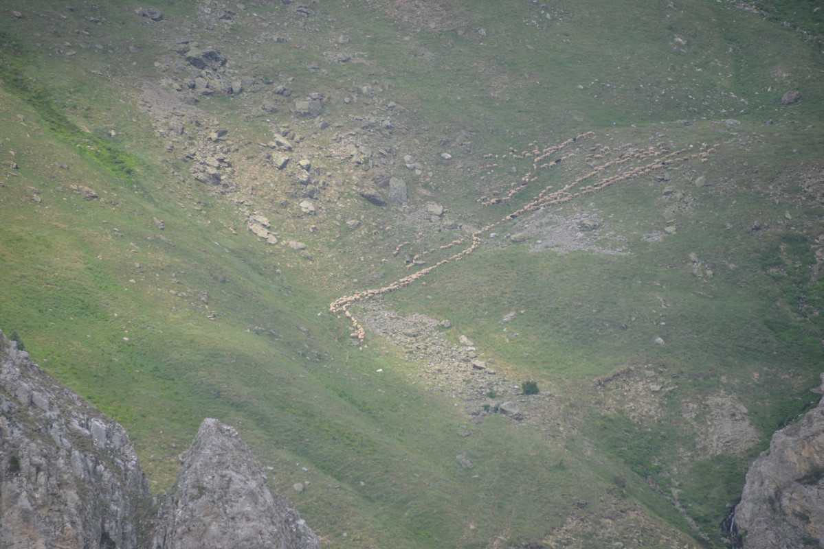 DSC-9587.jpg