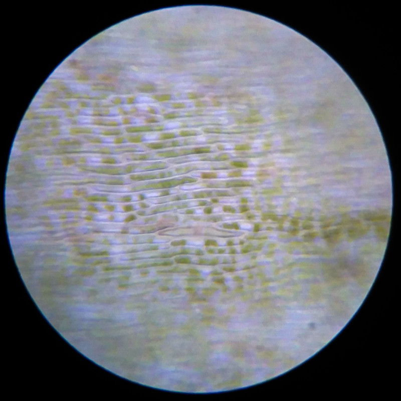 IMG 20250617 112320 HDR